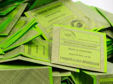 Schede della consultazione referendaria