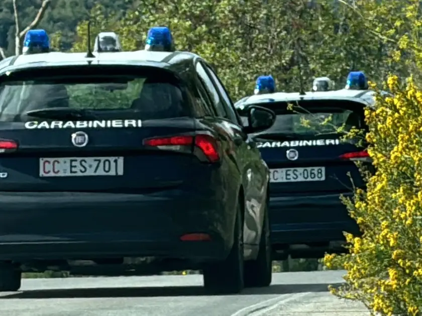Pattuglie dei carabinieri