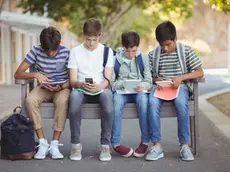 La proposta di Stefani: togliere i social agli under 14