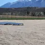 Un campo agrivoltaico