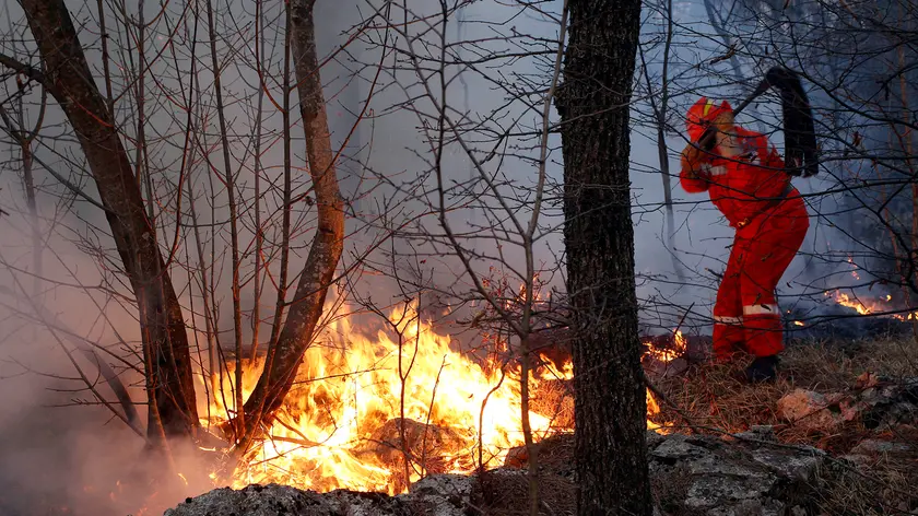 Vigili del fuoco in azione sul Carso in una foto di archivio