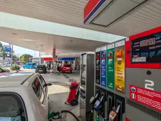 (foto Daniele Tibaldi)