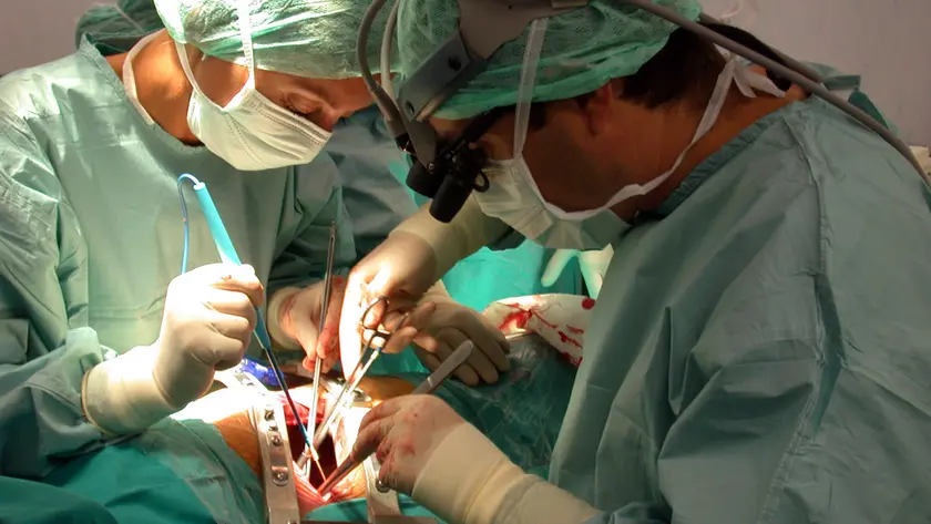 Veneto prima regione per donazione di organi, ma i giovani dicono di no