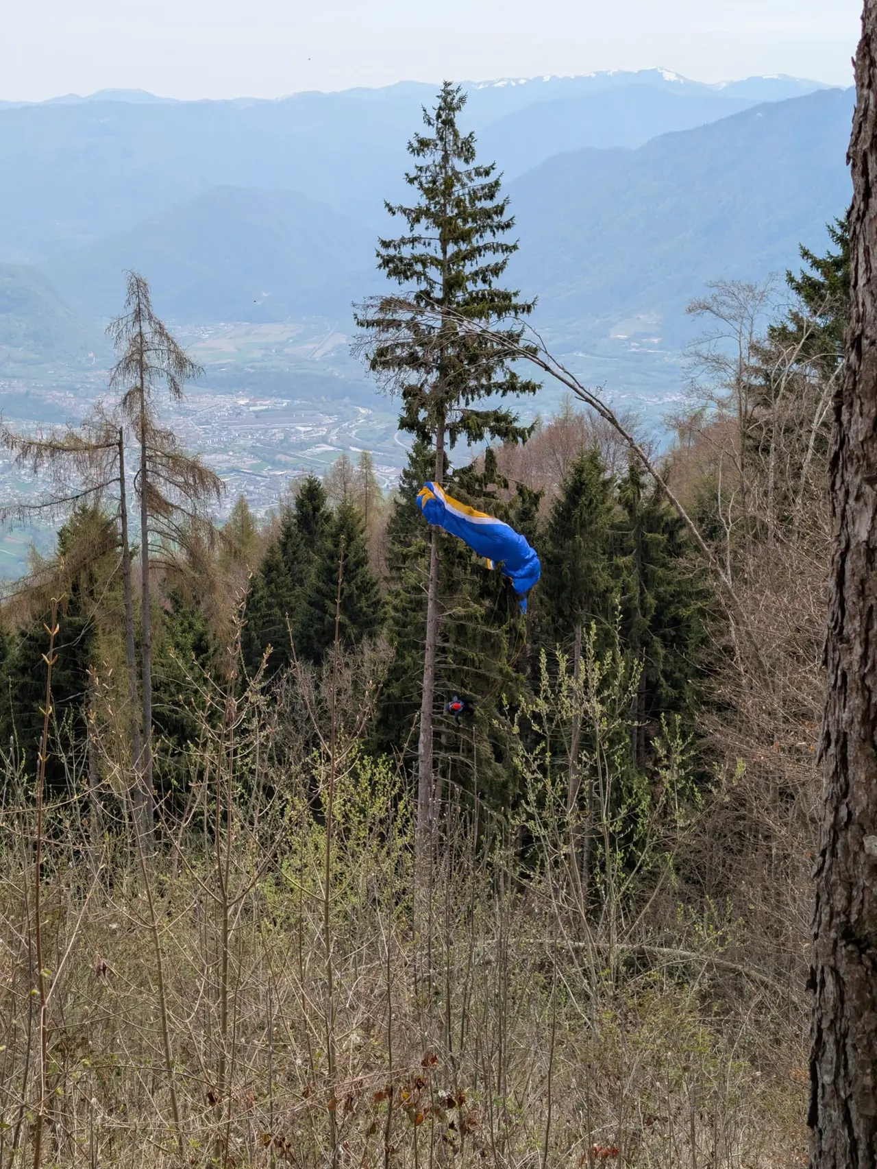 La vela della giovane pilota di parapendio rimasta bloccata sulla pianta sul monte Avena