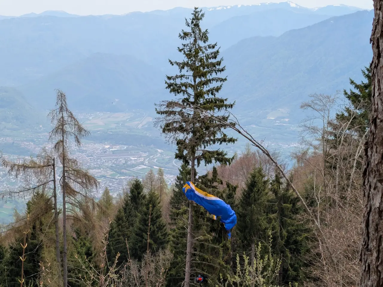 La vela della giovane pilota di parapendio rimasta bloccata sulla pianta sul monte Avena