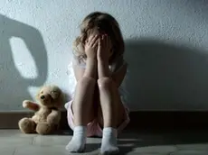 L'uomo è stato condannato per il reato di violenza sessuale aggravato dalla minore età delle vittime