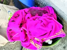 L’asciugamano utilizzato per i primi soccorsi intriso di sangue