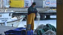 Foto Bruni Trieste 27.11.25 I pescatori di Trieste