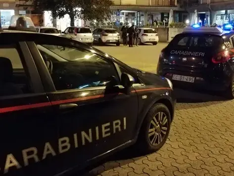 Carabinieri in azione