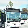 Alcuni mezzi di Dolomitibus
