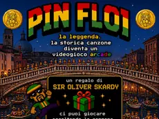 PIN FLOI The Videogame