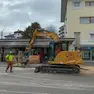 Il taglio degli alberi in via Feltre