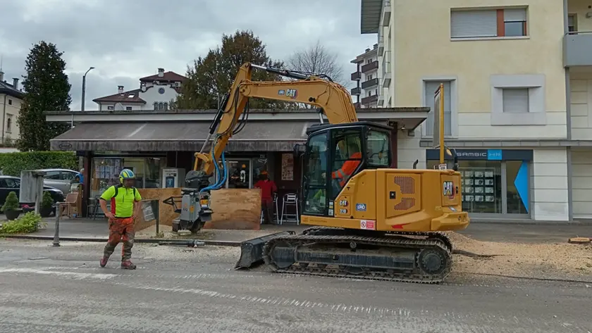 Il taglio degli alberi in via Feltre
