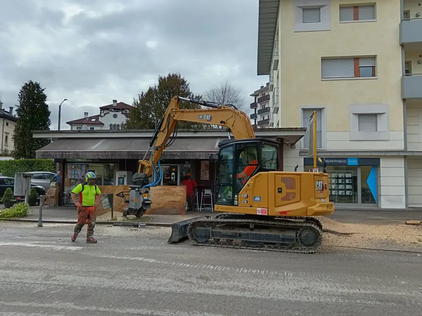 Il taglio degli alberi in via Feltre
