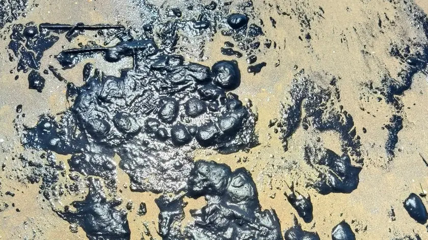 Le chiazze del nero di seppia