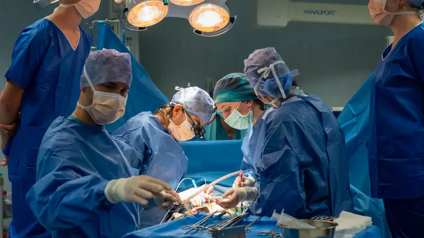 L'Azienda Ospedale Università Padova ha realizzato cento trapianti di rene da inizio 2026