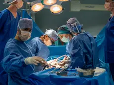 L'Azienda Ospedale Università Padova ha realizzato cento trapianti di rene da inizio 2026