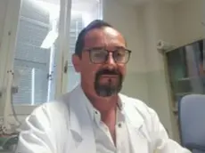 Stefano Gigliotti