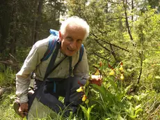 Cesare Lasen