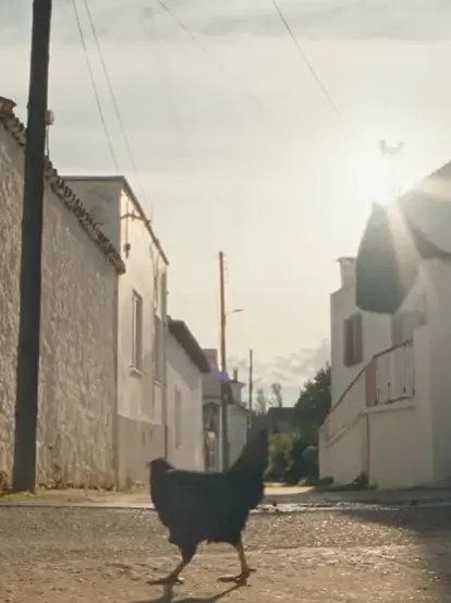 Un fotogramma del film "Hen – Storia di una gallina"