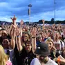 Il concerto di Ligabue a Bibione