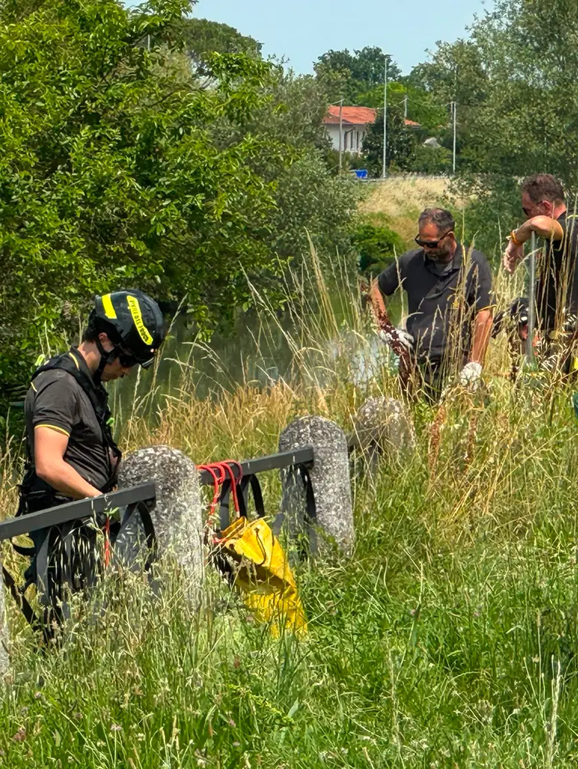 I vigili del fuoco sull'argine del Malgher dove si sta cercando il corpo di Chiara Guerra (foto Fioretto)