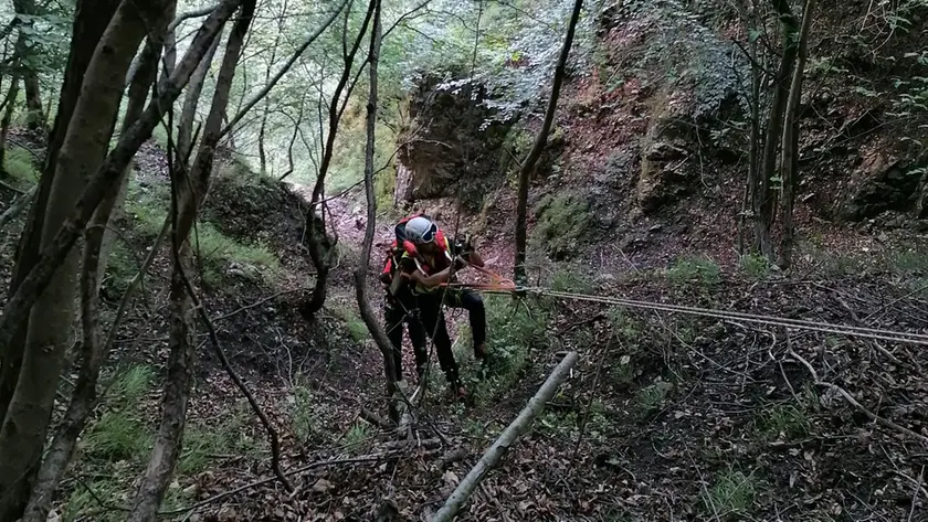 Un tratto del Cammino Retico: chiusa la tappa tra Alano e Seren del Grappa