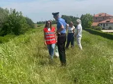La ricerca dell'arma del delitto
