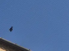 Una delle reti della Basilica con un uccello impigliato