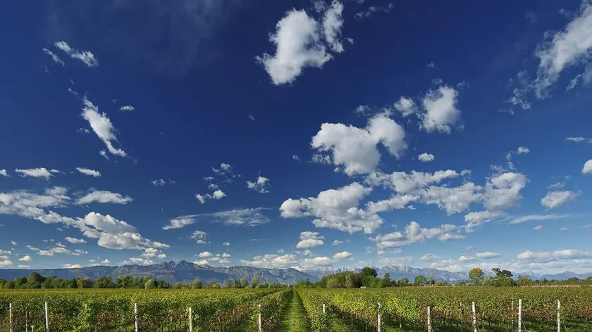 Prosecco doc: aumento di duemila ettari