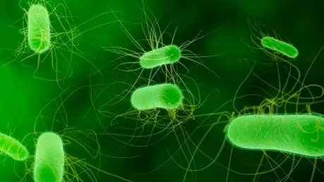 Richiamo formaggi al tartufo Latteria Moro: rischio Listeria, ecco i lotti ritirati
