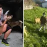 Alessio e Antonio fanno rivivere la vecchia stalla di Tualis