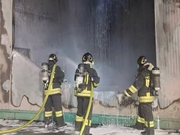 L'intervento dei vigili del fuoco (credit: vigili del fuoco)