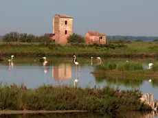 Delta del Po