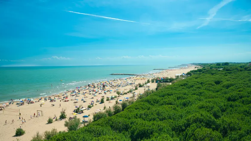 Una veduta aerea dall'alto della spiaggia di Cavallino piena di turisti con alle spalle la caratteristica pineta