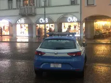 Rissa ai giardini pubblici a Belluno