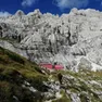 La zona del bivacco Feltre nelle Vette Feltrine