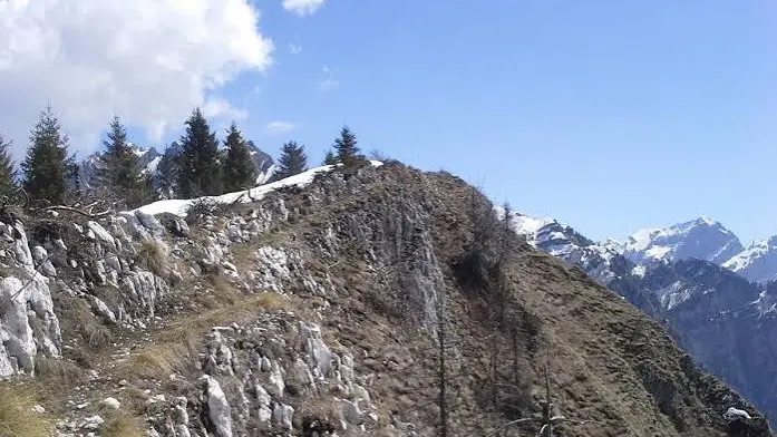 La zona della Val Vallaraz in Agordino