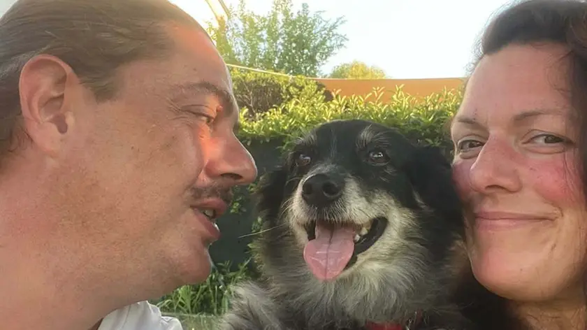Vo’, Linda adottata dai vicini dopo la morte del padrone: salvata dal canile