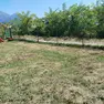 Preoccupazione per i cedimenti