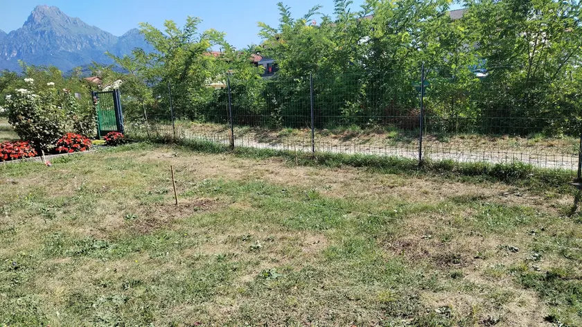 Preoccupazione per i cedimenti