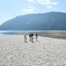 Il lago di Santa Croce calato in modo impressionante