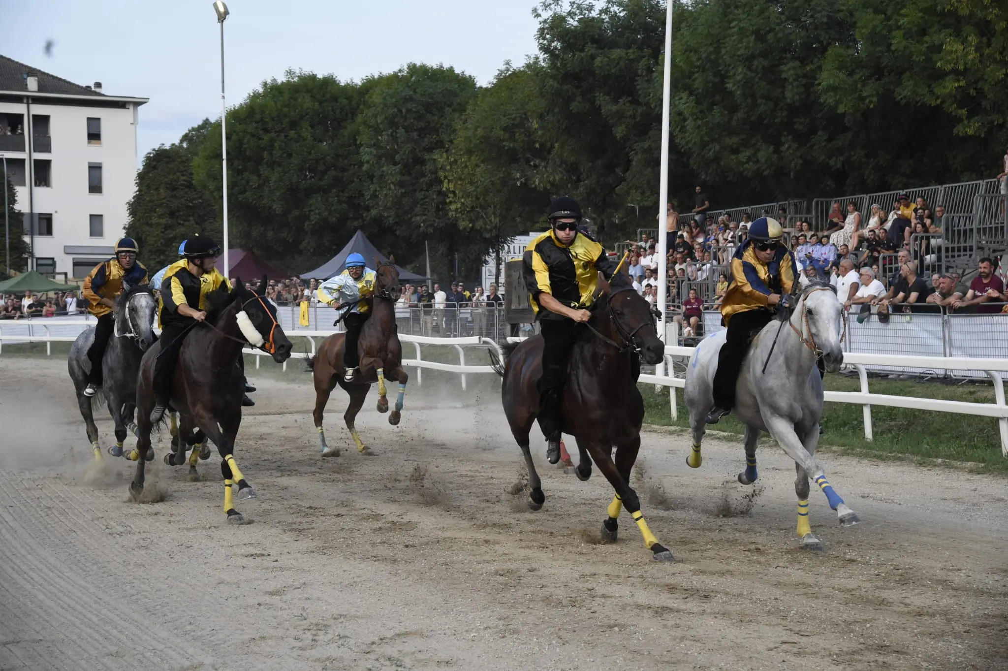 La gara finale dei cavalli del Palio 2026 (foto di Gian Paolo Perona)