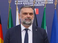 Luca De Carlo