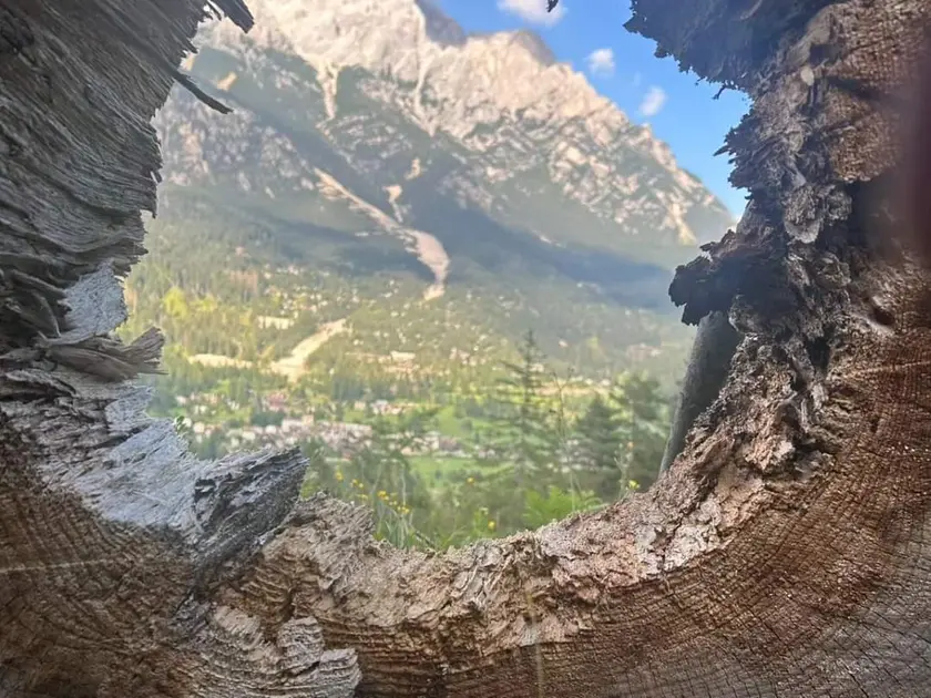 Uno scorcio di Borca di Cadore