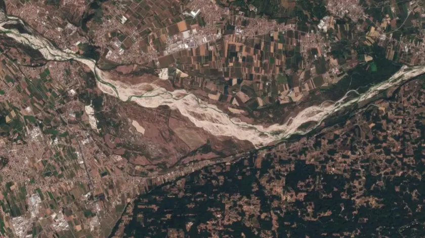 Bosco di Vidor, in provincia di Treviso, attraversato dal fiume Piave