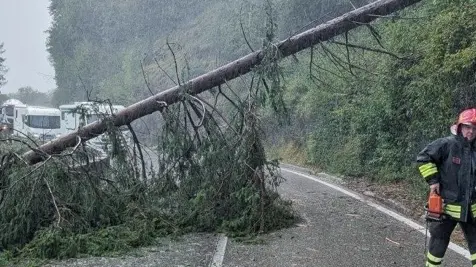 Maltempo nel Bellunese