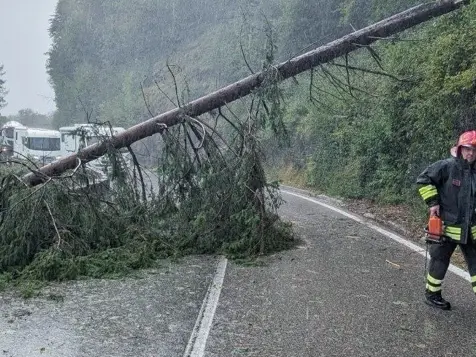 Maltempo nel Bellunese