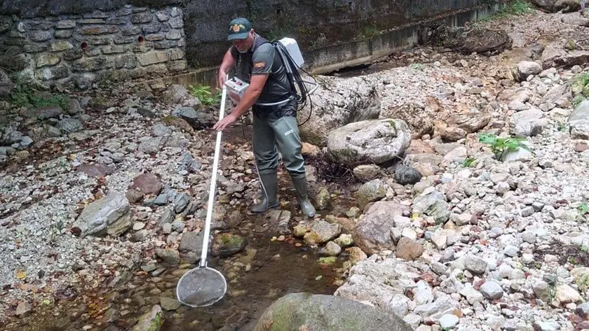 Il salvataggio in un torrente in secca