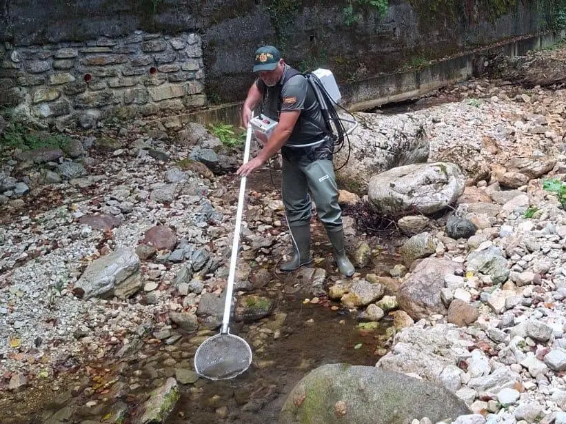 Il salvataggio in un torrente in secca